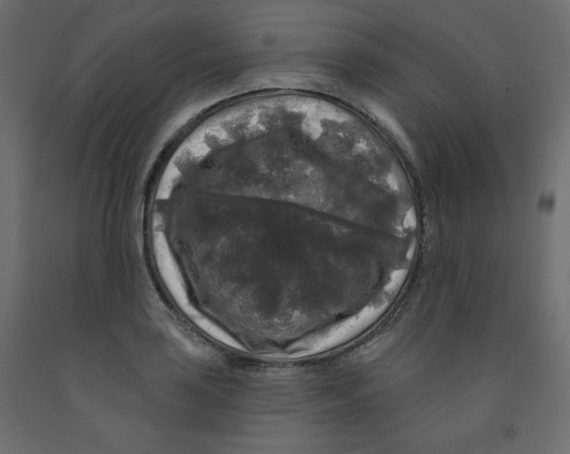 X0000091951035200710041004