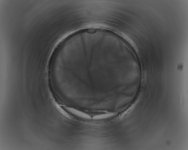 X0000091951037200710041004