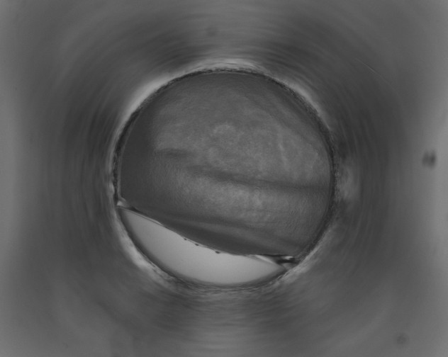 X0000091951038200710041004