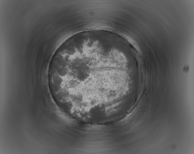 X0000091951039200710041004