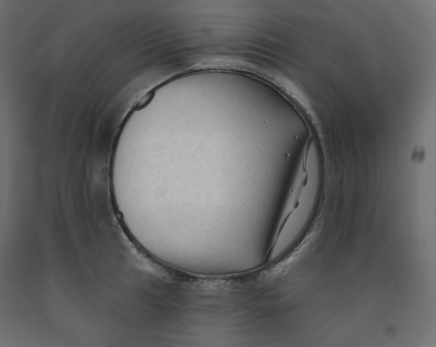 X0000091951041200710041004