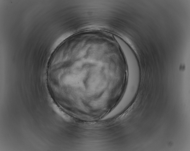 X0000091951042200710041004