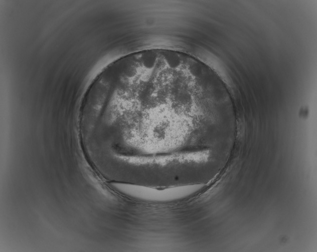 X0000091951043200710041004
