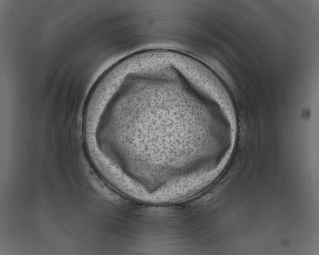 X0000091951044200710041004