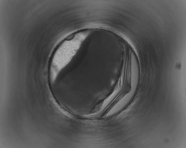 X0000091951045200710041004