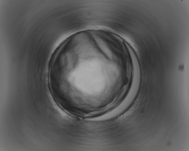 X0000091951046200710041004