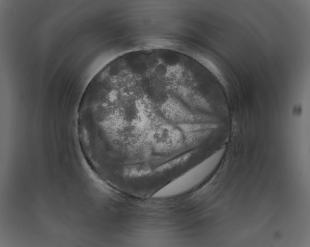 X0000091951047200710041004