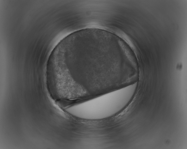 X0000091951048200710041004