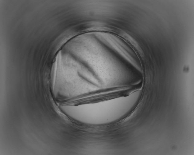 X0000091951049200710041004