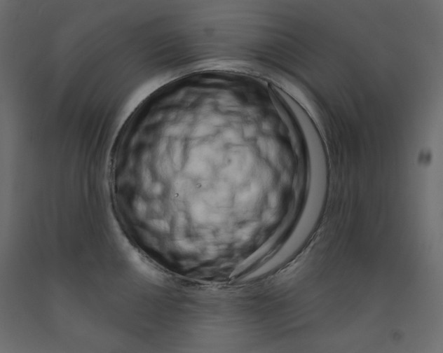 X0000091951050200710041004