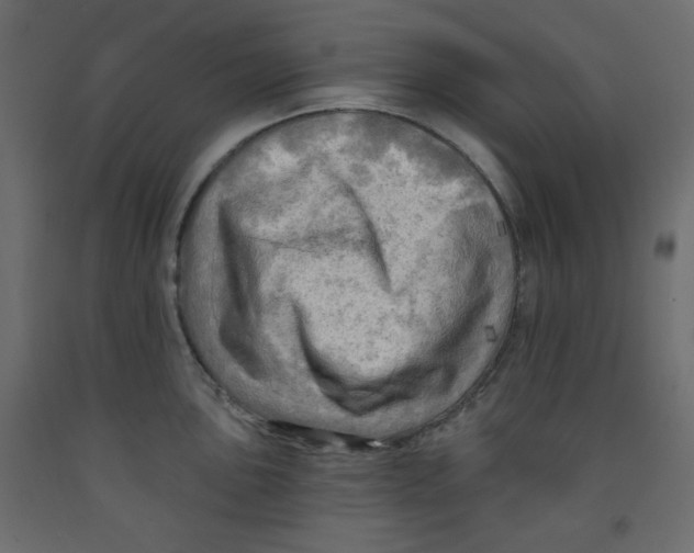 X0000091951051200710041004