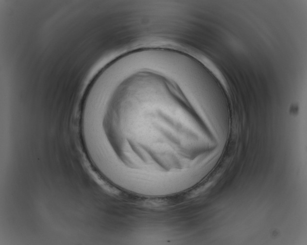 X0000091951053200710041004