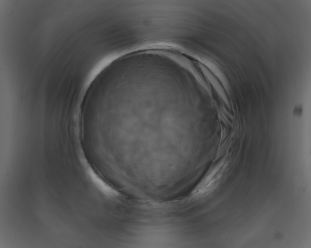 X0000091951054200710041004