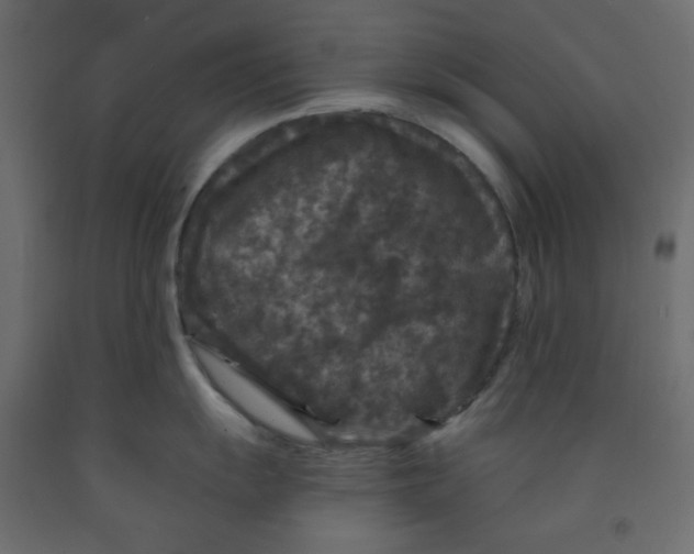 X0000091951055200710041004