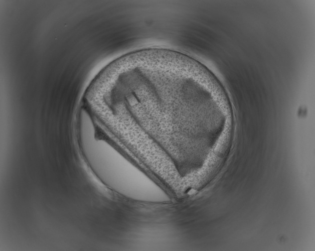 X0000091951056200710041004