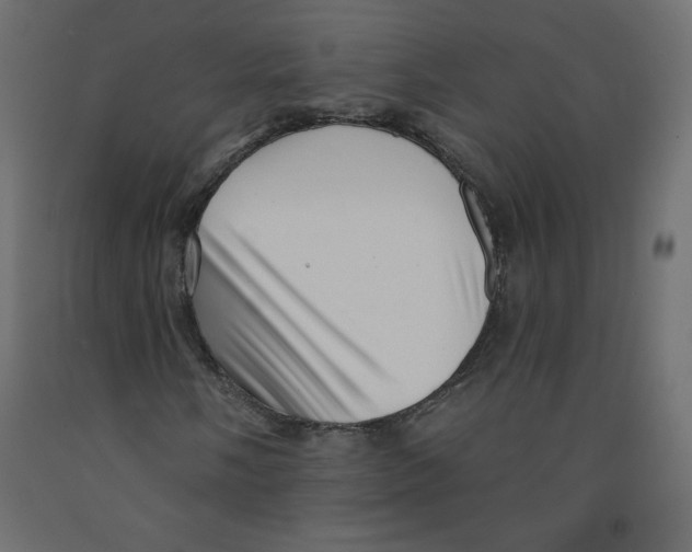 X0000091951058200710041003