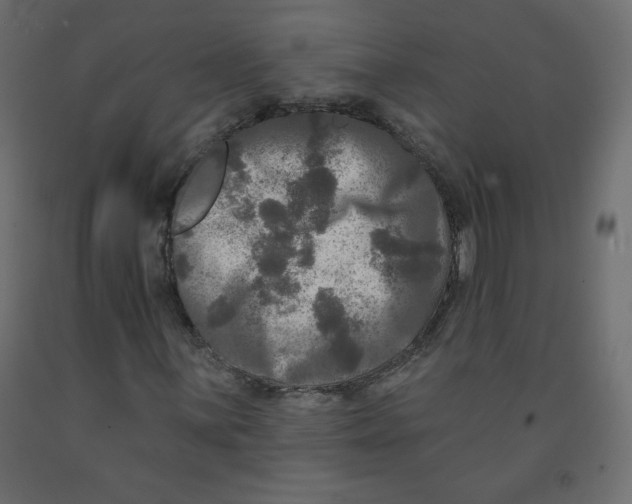 X0000091951059200710041003