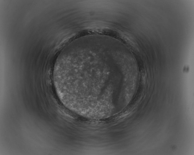 X0000091951060200710041003
