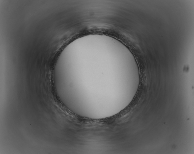 X0000091951061200710041003
