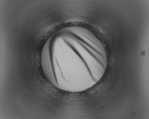 X0000091951062200710041003