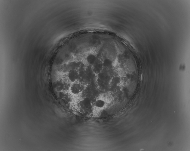 X0000091951063200710041003