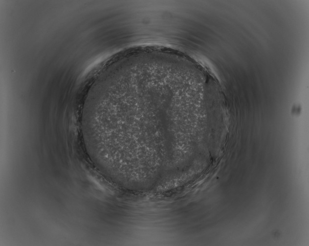 X0000091951064200710041003
