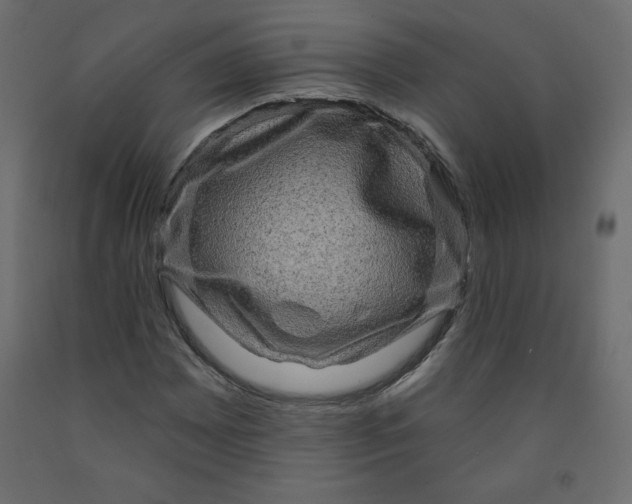 X0000091951065200710041003