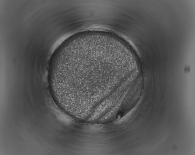 X0000091951066200710041003