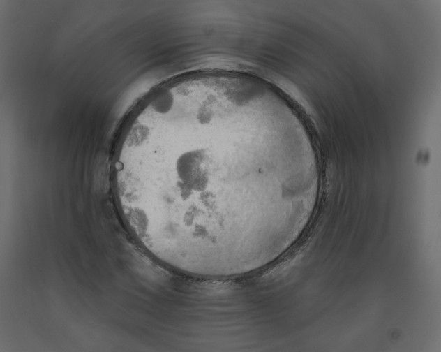 X0000091951067200710041003