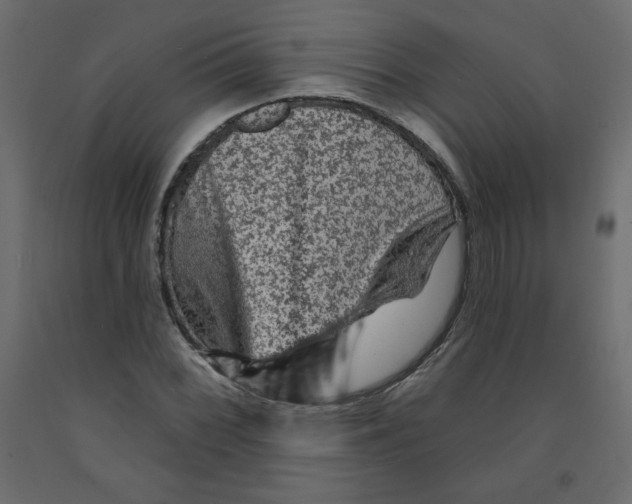X0000091951068200710041003