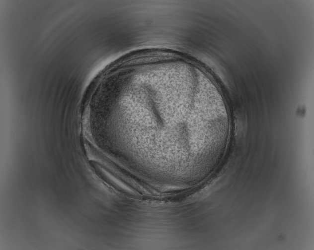 X0000091951069200710041003