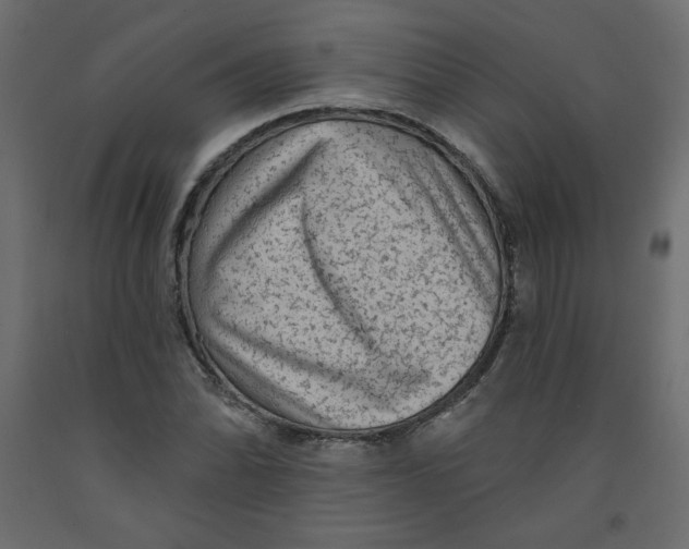 X0000091951070200710041003