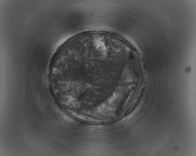 X0000091951071200710041003