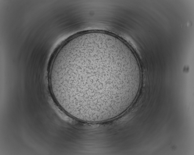 X0000091951072200710041003