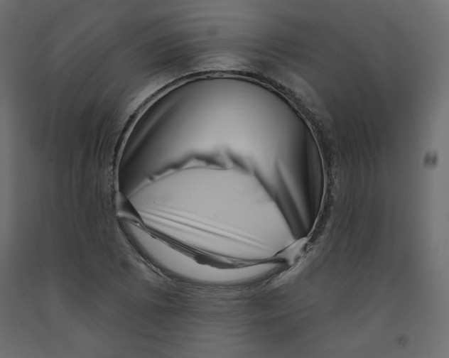X0000091951073200710041003