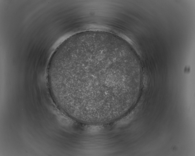 X0000091951074200710041003