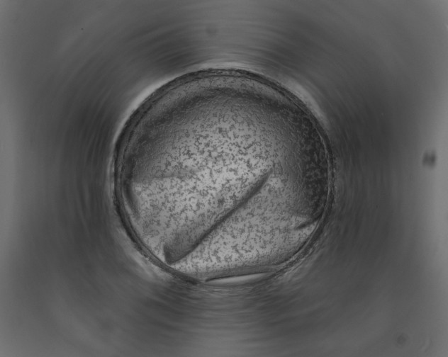 X0000091951076200710041003