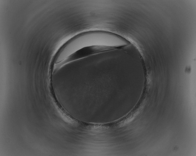 X0000091951077200710041003