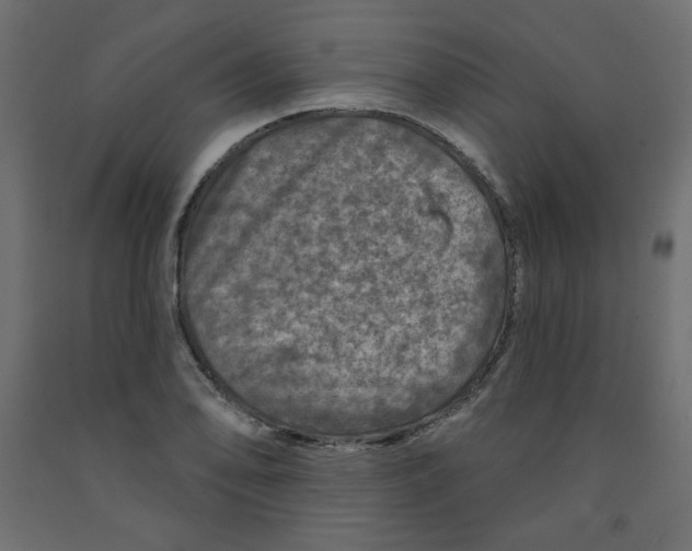 X0000091951078200710041003