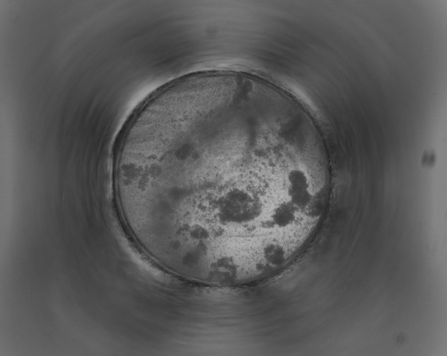 X0000091951079200710041003