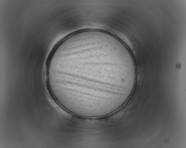 X0000091951080200710041003