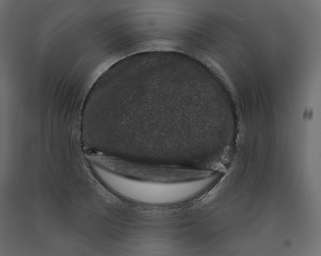 X0000091951081200710041003