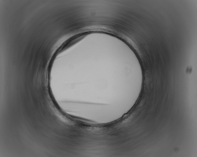 X0000091951082200710041003