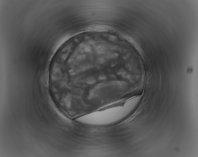 X0000091951083200710041003