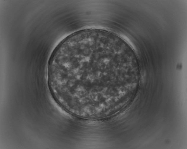 X0000091951084200710041003