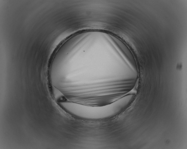 X0000091951085200710041003