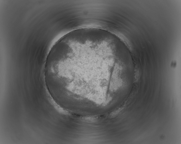 X0000091951086200710041003