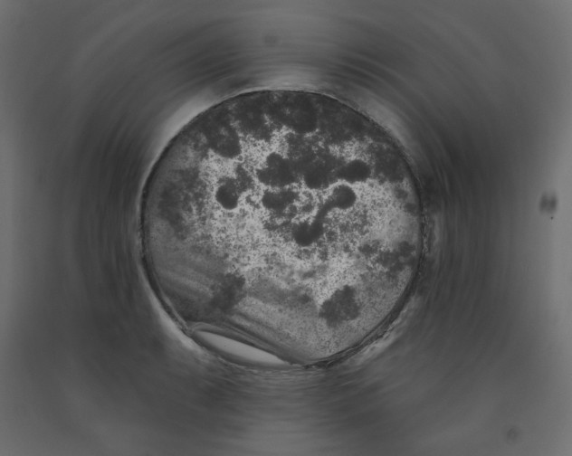 X0000091951087200710041003