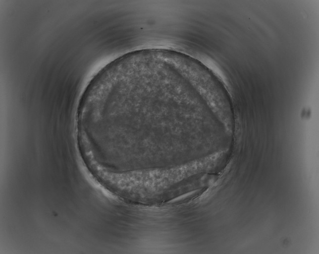 X0000091951088200710041003