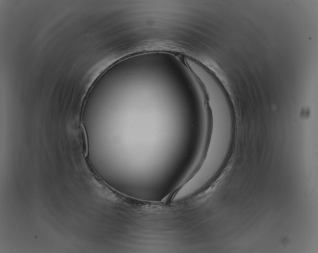 X0000091951089200710041003